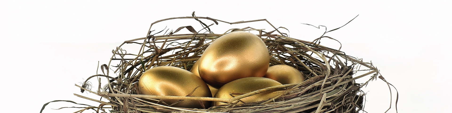 A white background of a nest with golden eggs